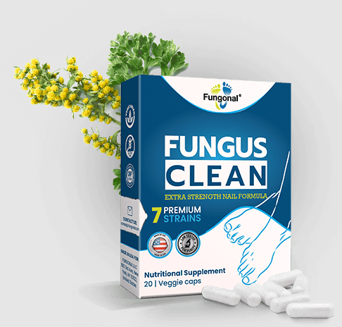 Fungus Clean